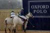 Oxford Polo 2023_01_29 0096